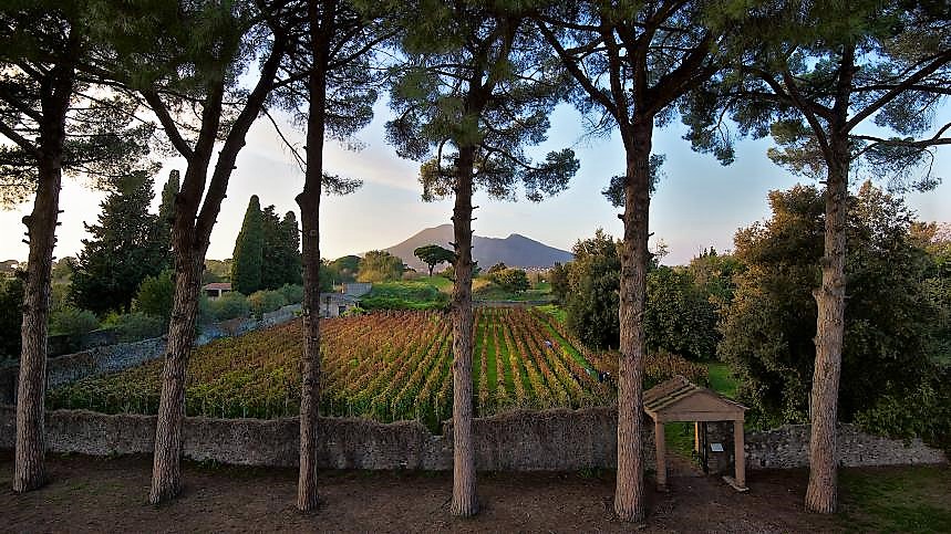 Italian wine tasting from Tuscany, Piedmont, Campania, Sardinia