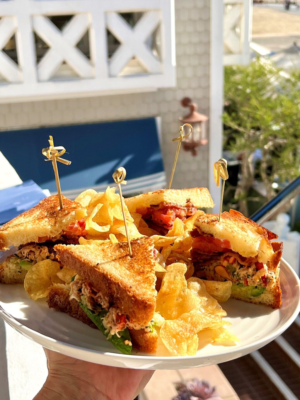 Lobster club sandwich