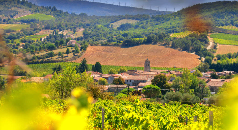 Blanquette de Limoux, J.Laurens vineyards| Languedoc, France