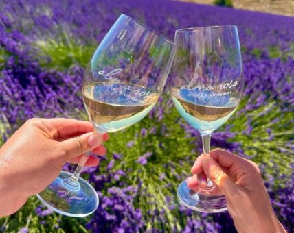Pinot blanc Alma Rosa Winery La Encantada 2021