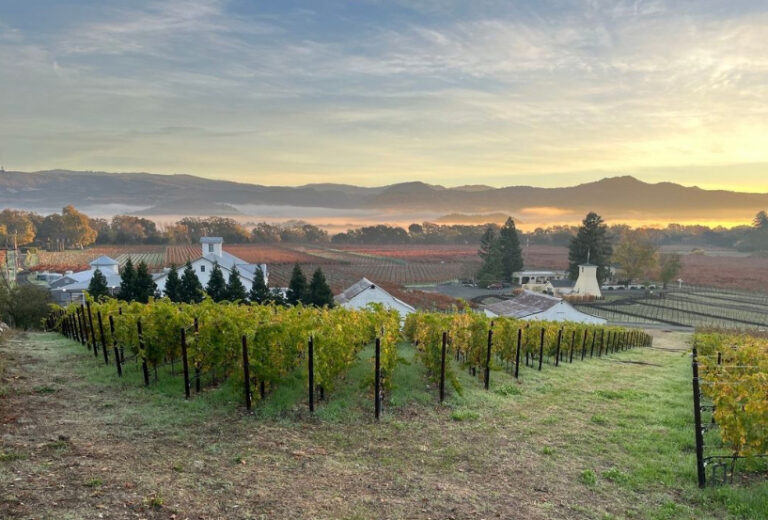 Cabernet Sauvignon 2018 Gamble Family Vineyards